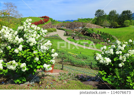 [香川縣] 國立贊岐萬王公園（青龍溪谷、升龍瀑布）晴空萬裡 114076673