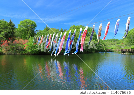 [Kagawa Prefecture] Carp streamers (Hiryu-no-ike pond) at Sanuki Manno National Park on a clear day 114076686