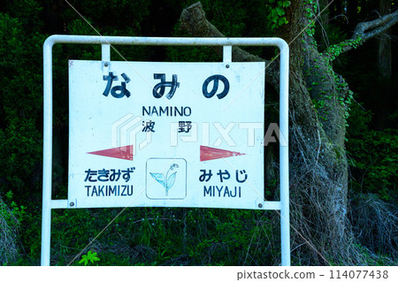 柔和的光芒映照出的九州最高高原車站波野站的風景(阿蘇市波野市) 柔和的光芒映照出的九州最高高原車站波野站的風景(阿蘇市波野市) 114077438