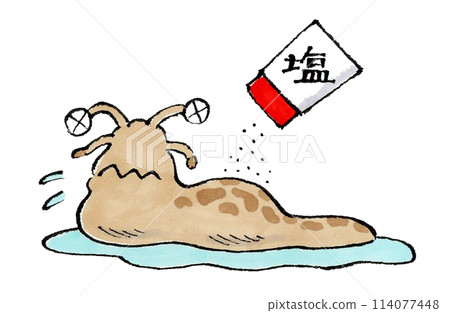 A slug being salted 114077448