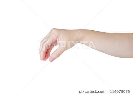 Woman hand gesture holding something isolated on white background 114078076