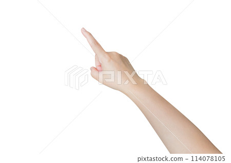 female hand touching or pointing to something isolated on white background 114078105