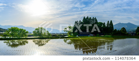 Panoramic view of the beautiful sunlight reflecting off the rice paddies in a warm, sunny season (Minamiaso Village, Aso District) 114078364