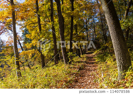 秋天的埼玉縣長瀞縣、荒川縣、蓬萊島的紅葉最佳時期 114078586