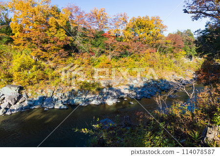 Autumn in Nagatoro, Saitama - Autumn leaves at their best on the Arakawa River, Horai Island 114078587