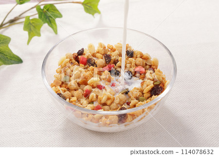 Fruit Granola Healthy Breakfast Fruit Granola Healthy Breakfast 114078632