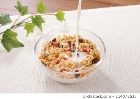 Fruit Granola Healthy Breakfast Fruit Granola Healthy Breakfast 114078633