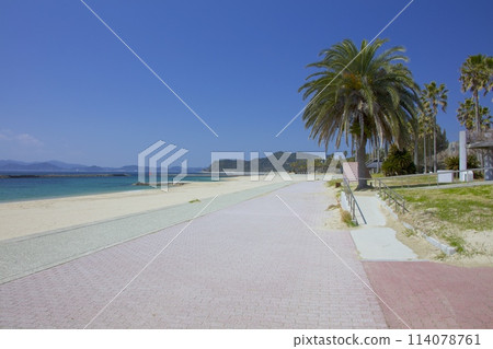 Awaji Island, Ama Beach / White sand and crystal clear water Awaji Island, Ama Beach / White sand and crystal clear water 114078761