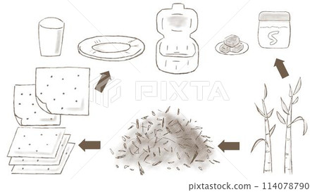 Hand-drawn illustration of bagasse (squeezed sugar cane) until it becomes a container for paper plates, paper cups and lunch boxes 114078790