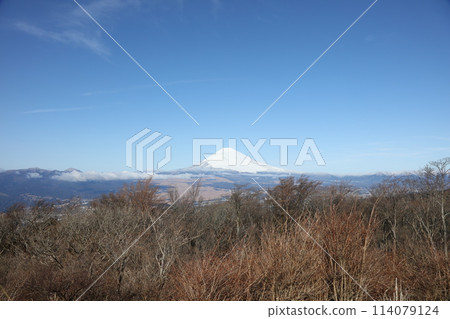 從蘆之湖天際線看富士山 114079124