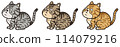 Sitting tabby cat 114079216