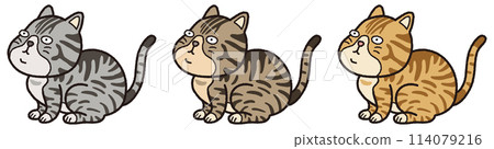 Sitting tabby cat Sitting tabby cat 114079216