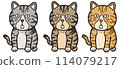 Sitting tabby cat front 114079217