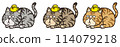 Chick and tabby cat 114079218