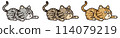 A tiger cat aiming for prey 114079219