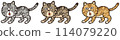 Tabby cat being stopped 114079220