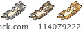 Lying tabby cat 114079222