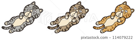 Lying tabby cat Lying tabby cat 114079222