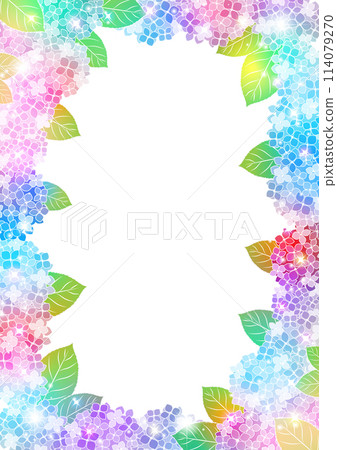 繡球花，雨季，花，框架，可愛，六月，彩虹色 114079270
