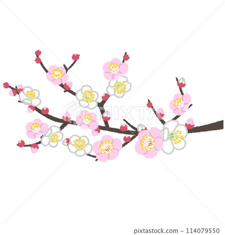 梅花插圖 梅花插圖 114079550