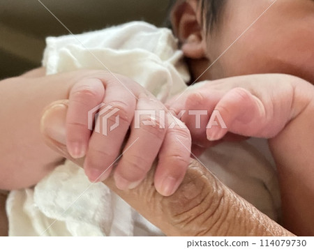 Close-up of a newborn baby's hand holding mother's hand 114079730