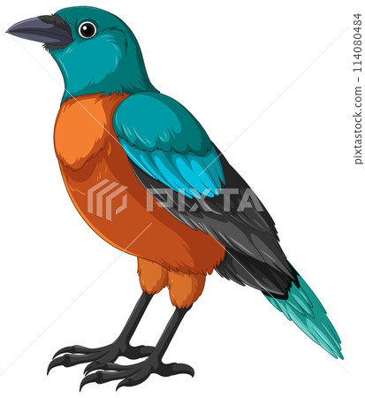 Colorful Vector Illustration of a Bird Colorful Vector Illustration of a Bird 114080484