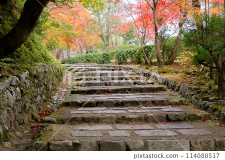 京都市左京區佐賀市足野念佛寺的參道 京都市左京區佐賀市足野念佛寺的參道 114080517
