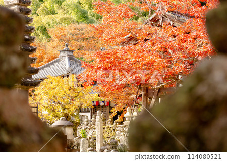 Adashino Nenbutsu-ji Temple in Saga, Sakyo Ward, Kyoto City - The riverbank of Saiin and autumn leaves 114080521