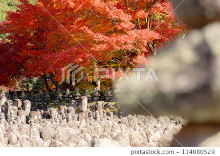 Adashino Nenbutsu-ji Temple in Saga, Sakyo Ward, Kyoto City - The riverbank of Saiin and autumn leaves Adashino Nenbutsu-ji Temple in Saga, Sakyo Ward, Kyoto City - The riverbank of Saiin and autumn leaves 114080529