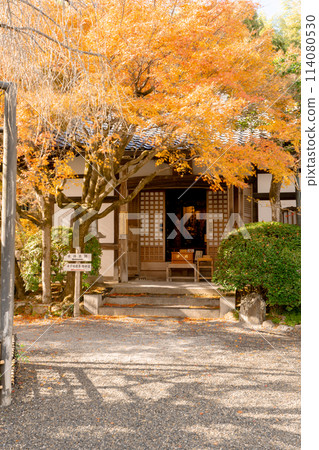 京都市左京區佐賀足野念佛寺本堂的秋葉 京都市左京區佐賀足野念佛寺本堂的秋葉 114080530