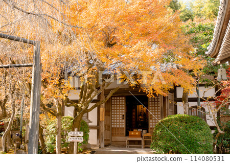 京都市左京區佐賀足野念佛寺本堂的秋葉 114080531
