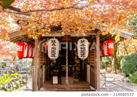 京都市左京區佐賀縣足野念佛寺延命地藏堂的秋葉 京都市左京區佐賀縣足野念佛寺延命地藏堂的秋葉 114080537