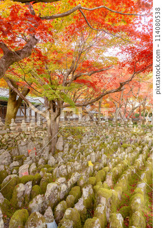 京都市左京區佐賀的足野念佛寺、西院河和秋葉 114080538