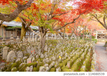 京都市左京區佐賀的足野念佛寺、西院河和秋葉 京都市左京區佐賀的足野念佛寺、西院河和秋葉 114080539