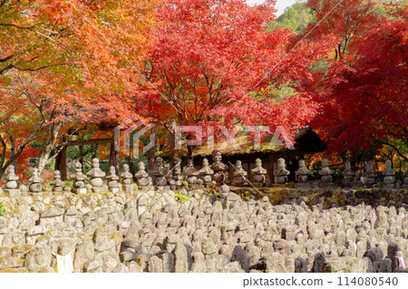 Adashino Nenbutsu-ji Temple in Saga, Sakyo Ward, Kyoto City - The riverbank of Saiin and autumn leaves 114080540