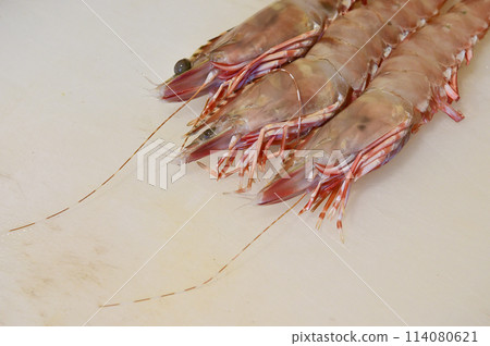 Head-on shrimp, wild caught Head-on shrimp, wild caught 114080621