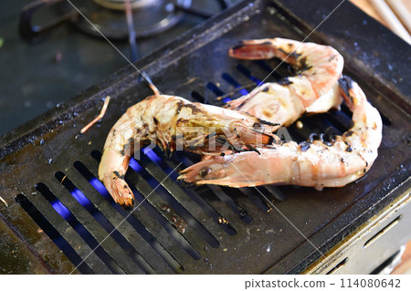 天然帶頭蝦 114080642