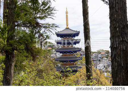 中山寺的五層寶塔「清龍塔」(2024年4月13日拍攝) 中山寺的五層寶塔「清龍塔」(2024年4月13日拍攝) 114080756