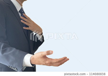 Businessman explaining business 114080838