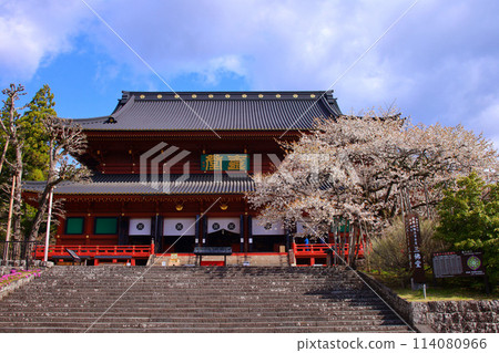 日光市、日光山輪王寺、三佛堂、盛開的金剛櫻（國家天然紀念物） 114080966