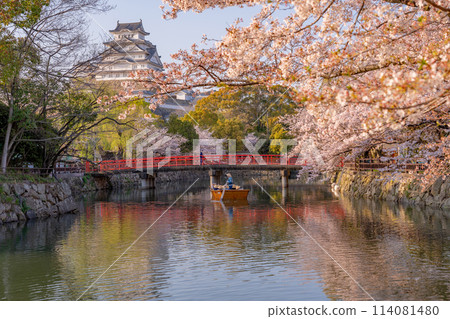 Himeji Castle and cherry blossoms in Himeji, Hyogo Prefecture. A rowboat heading towards the red bridge. Himeji Castle and cherry blossoms in Himeji, Hyogo Prefecture. A rowboat heading towards the red bridge. 114081480