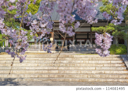 春天的京都、宗忠神社、櫻花和禮拜堂 114081495