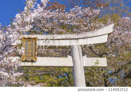 春天的京都，宗忠神社，櫻花覆蓋的宗忠鳥居 114081512