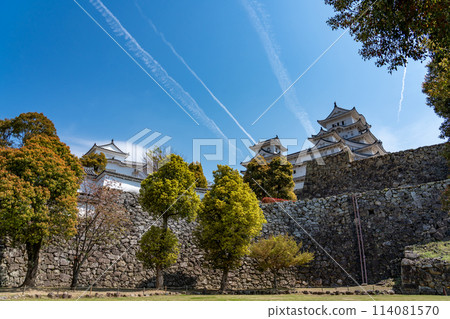 Himeji City, Hyogo Prefecture: Towering Himeji Castle and cherry blossoms 114081570