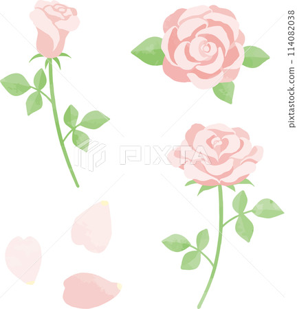 Pink rose illustration material set 114082038