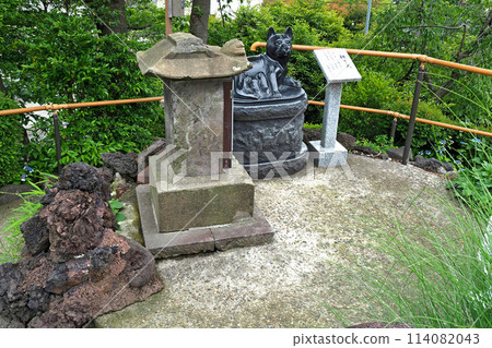 鎮州冰河神社富士塚山頂【埼玉縣川口市】 鎮州冰河神社富士塚山頂【埼玉縣川口市】 114082043
