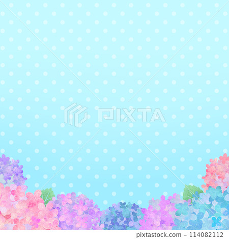 繡球花和圓點框架背景雨季圖像廣場 114082112