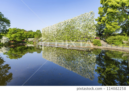 足利花卉公園，初夏盛開的白色紫藤瀑布，栃木縣足利市 114082258