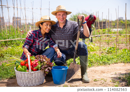 Happy family of gardeners posing with harvest of vegetables Happy family of gardeners posing with harvest of vegetables 114082563
