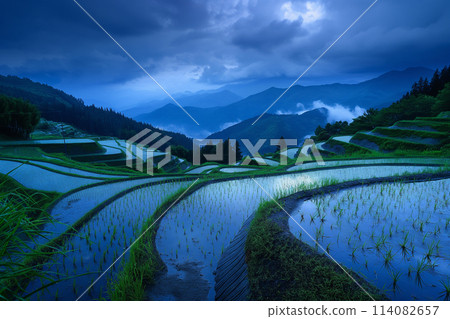 Fantastic rice terraces 114082657